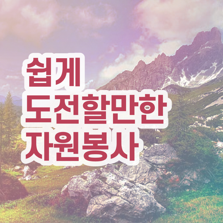  도서관 자원봉사 , 자원봉사지도사 자격증 한달 만에 학습 및 취득후기 , 이후 전망과 취업 방법