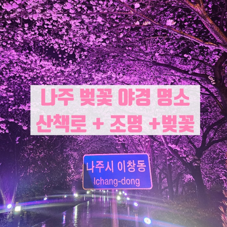  나주벚꽃축제 / 전남 벚꽃 나들이 명소, 나주 밤 벚꽃 야경 명소 나주시 이창동 운곡교