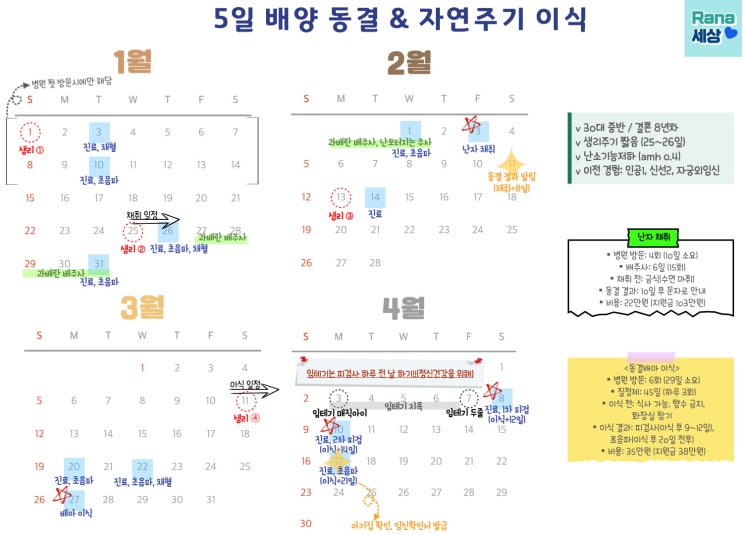  [난임일기] 강남차병원 시험관 채취&동결이식(일정/비용/증상/임테기/피검/식단)