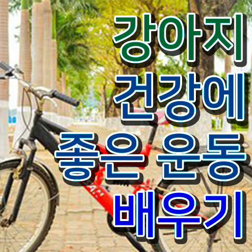  반려견운동지도사 학원 , 반려견운동지도사 자격증 시험관련 노하우 후기 및 자격증 취득 정보