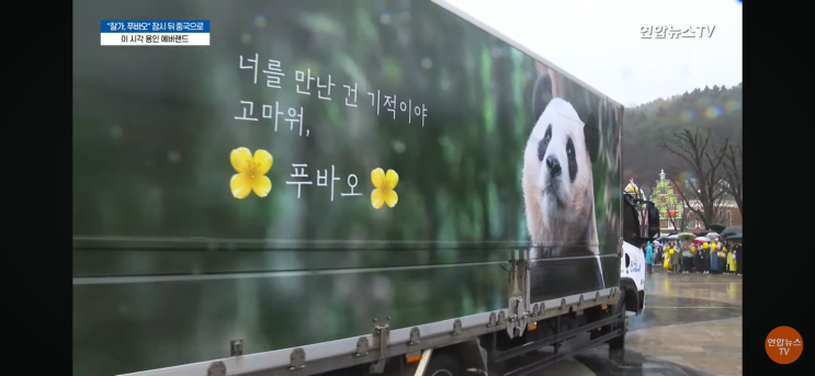  잘 가, 푸바오, 잊지 않을게