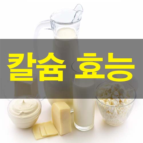  칼슘 효능 5가지 및 부작용 복용방법 필수