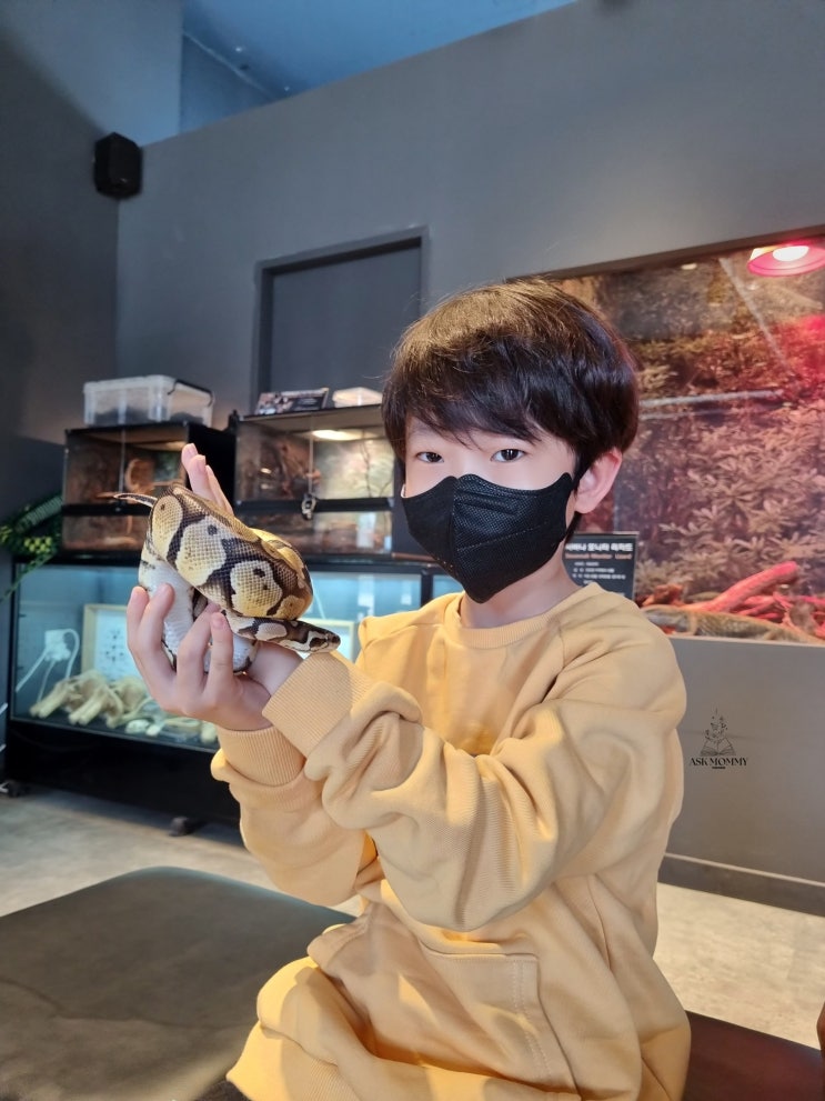  경기도 생태박물관 추천_은산어울림생태박물관 방문 후기