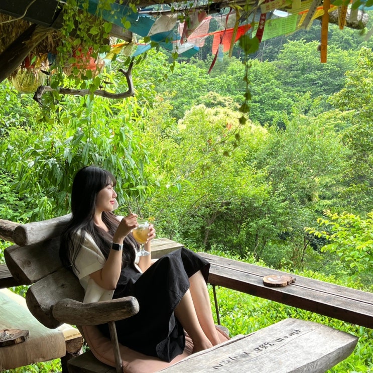  6월 국내여행지 추천 | 하동 가볼만한곳 동정호 화개장터 신진식당 하늘호수차밭쉼터