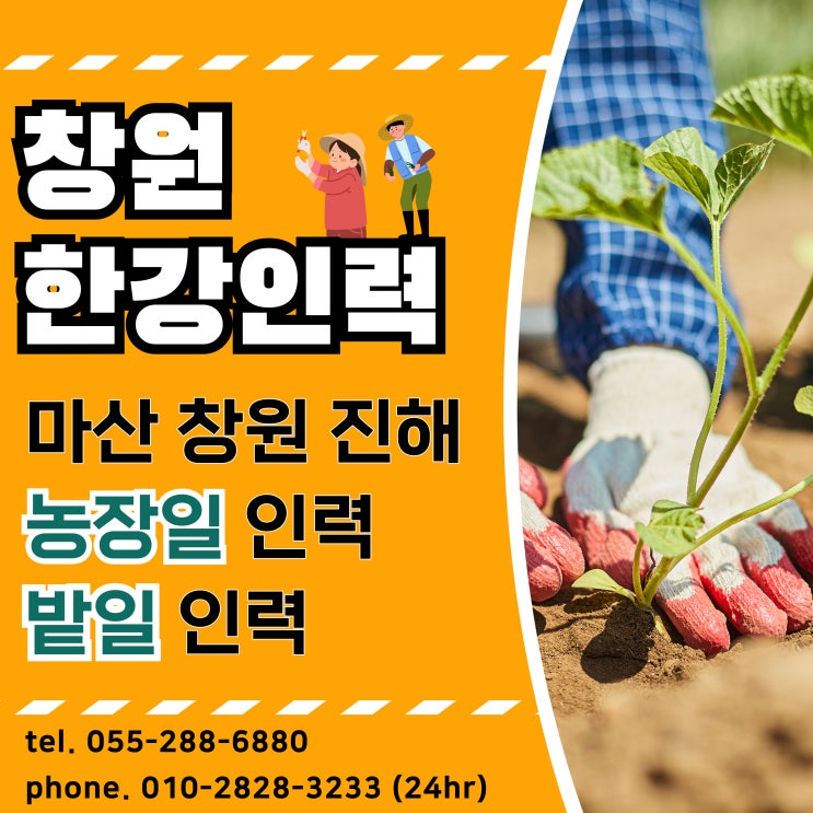  창원 농사/농장/밭일/농작물/수확/제초/농기계 농촌일자리 모집