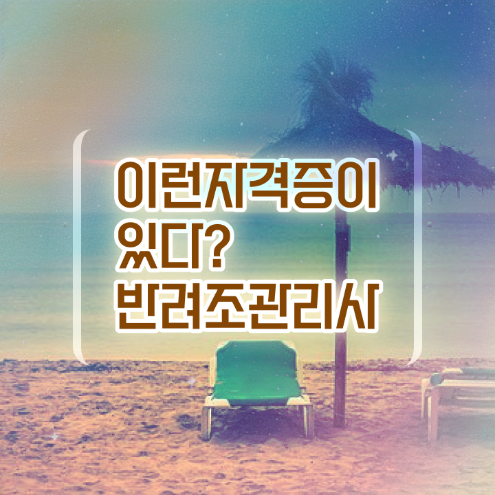  사랑앵무 알 , 반려조관리사 자격증 인기있는 이유 알아보기