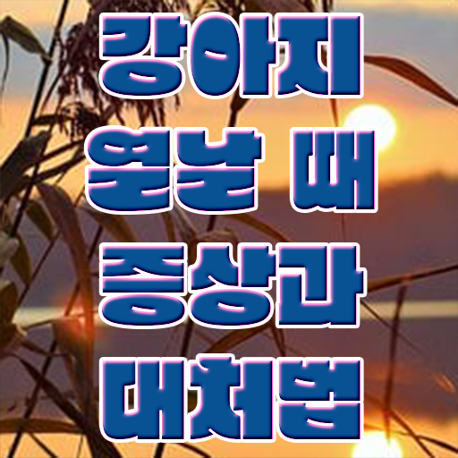  1급반려동물관리사교육원 , 반려동물관리사 자격증 인강으로 간편하게 합격 비법 및 취업, 연봉 정보