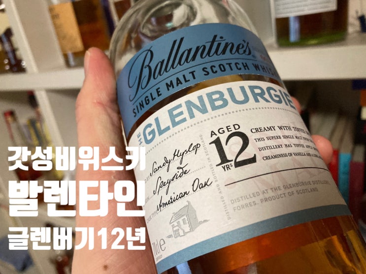  발렌타인 시리즈 글렌버기 12년 싱글몰트 위스키 맛&가격&시음