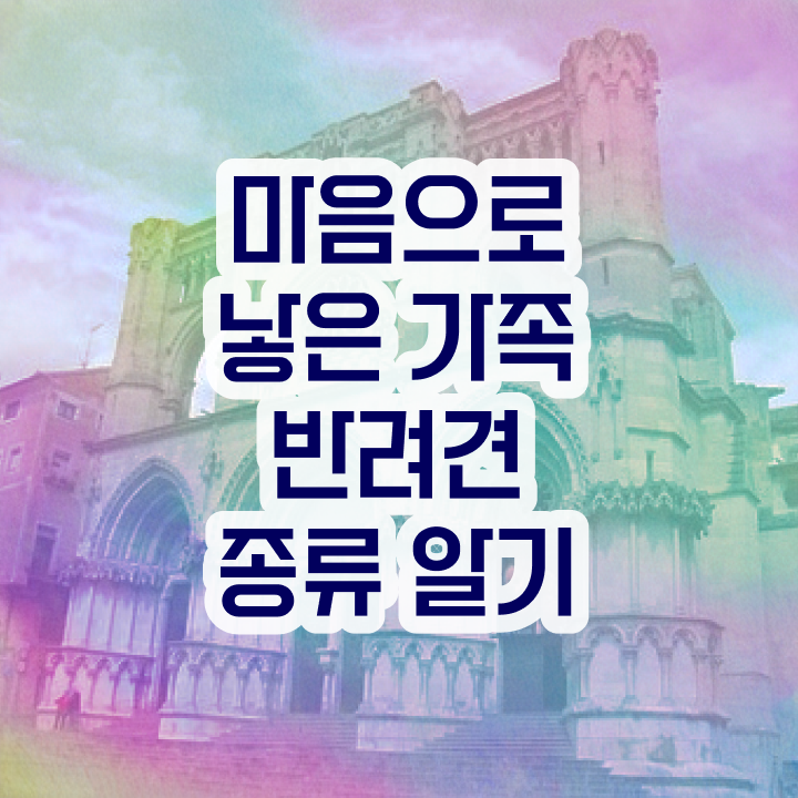  반려동물관리사1급 , 반려동물관리사 자격증 2주 만에 준비해서 합격한 후기 필수 정보
