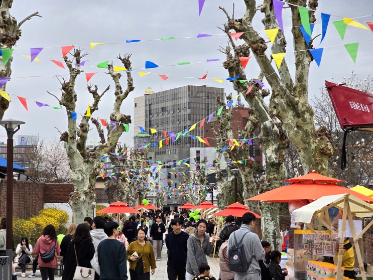  대전가볼만한곳 벚꽃피기 직전의 테미오래 봄축제, 테미공원 수도산