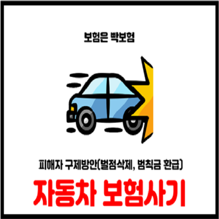  자동차 보험사기 피해자 사고기록 및 벌점삭제 추진
