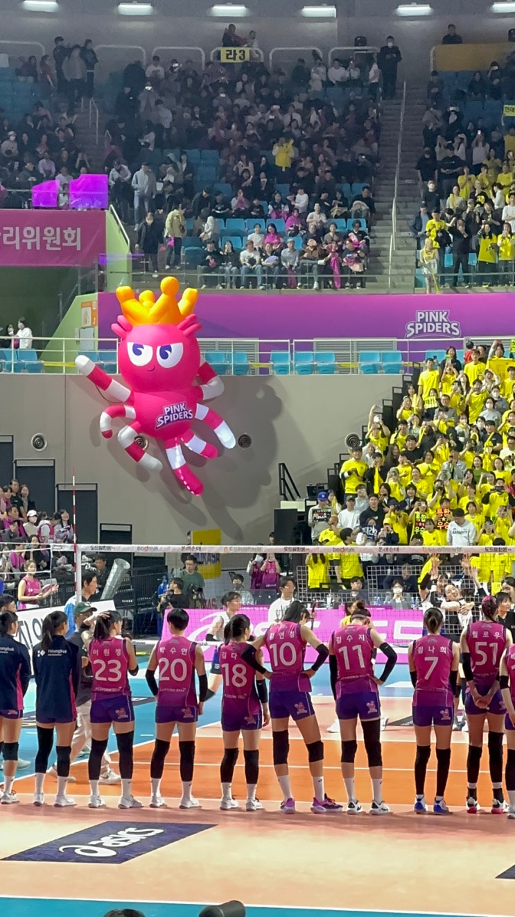 홈석 1층 B1구역 6열 시야 <b>흥국생명</b> vs <b>현대건설 김연경</b> 직관후기
