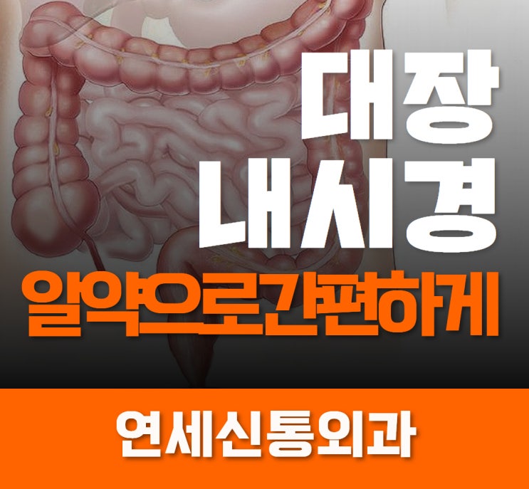  안양 대장내시경 알약으로 장 잘비워질까?