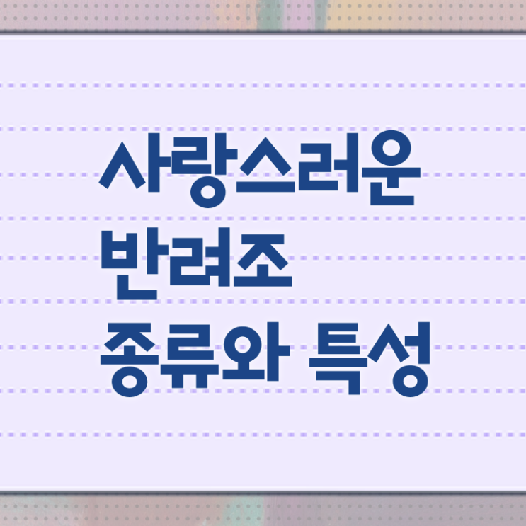  부산 모란앵무 , 반려조관리사 자격증 취득한 과정 소개