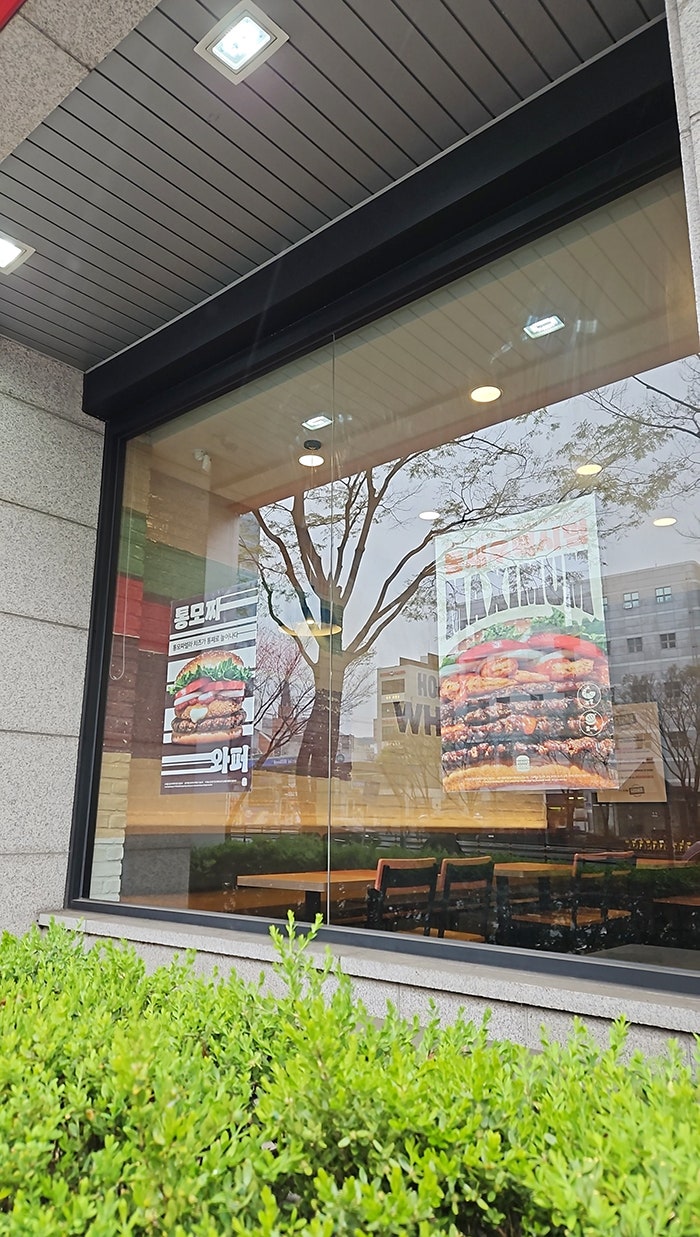 버거킹 대전둔산1점 사진 5