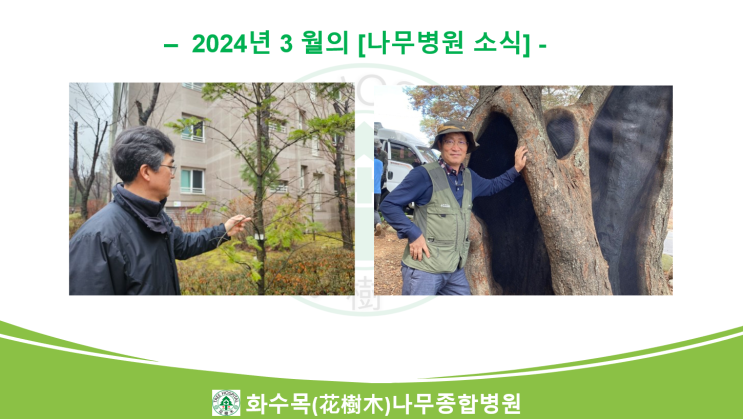  2024년 3월의 나무병원 뉴스 모음