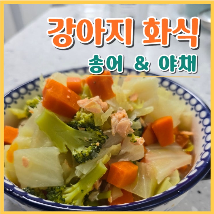  강아지 다이어트를 위한 송어 야채화식 만들기