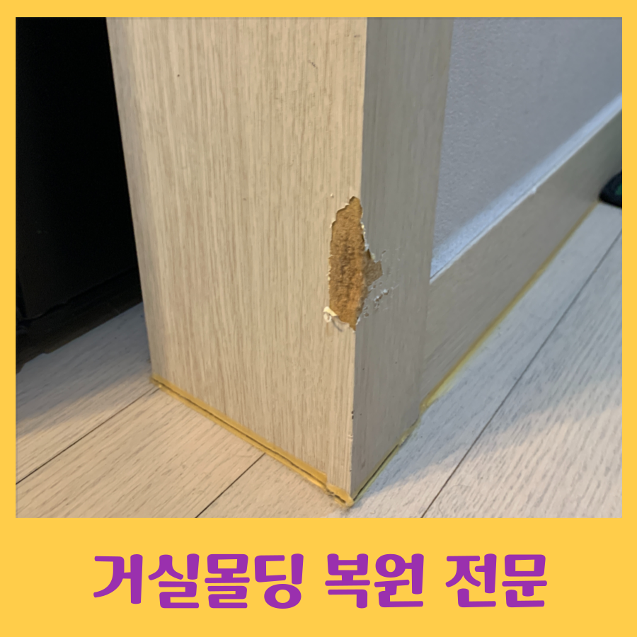 반려견이 물어뜯은 거실몰딩 복원 가능한 곳