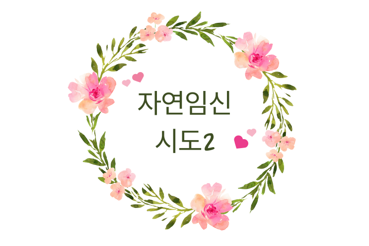  임신 준비8: 자연임신 시도 및 교수님 변경