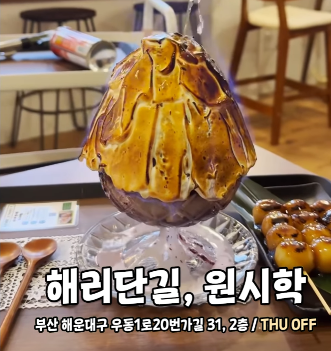  원시학