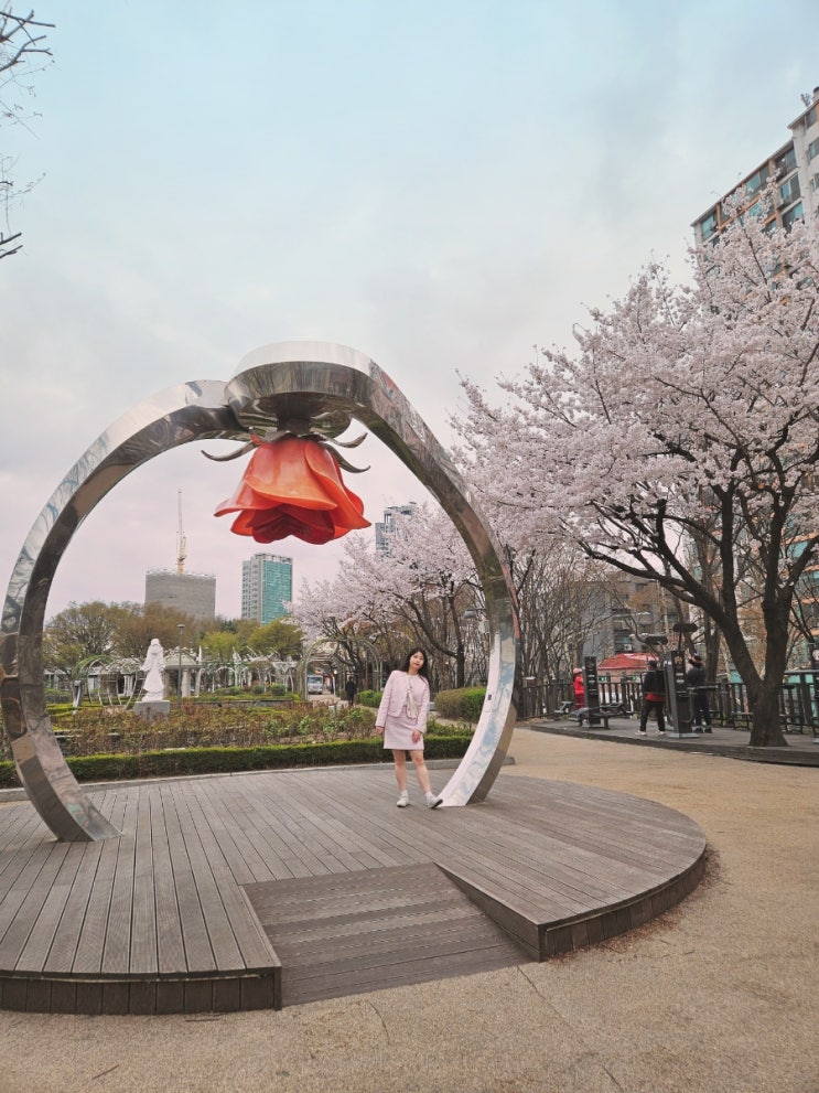  서울 벚꽃명소 중랑장미공원 중랑천 벚꽃길 4월 5월 주말 데이트 꽃구경 가볼만한곳 추천