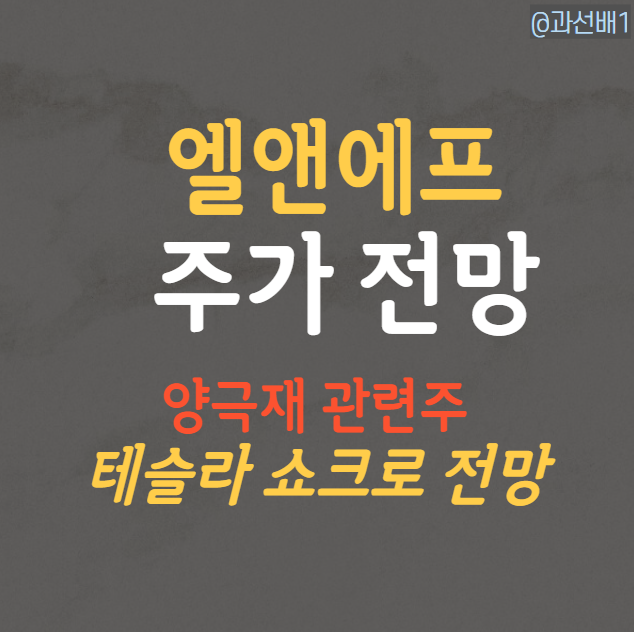  엘앤에프 주가 전망 (ft. 테슬라 쇼크)