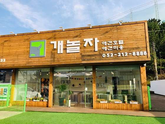 사진 2