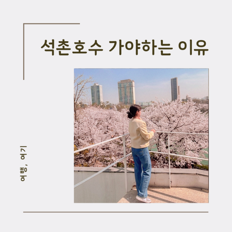  석촌호수 벚꽃 축제 가야하는 이유 실시간