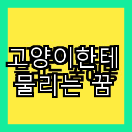 고양이한테 물리는 꿈