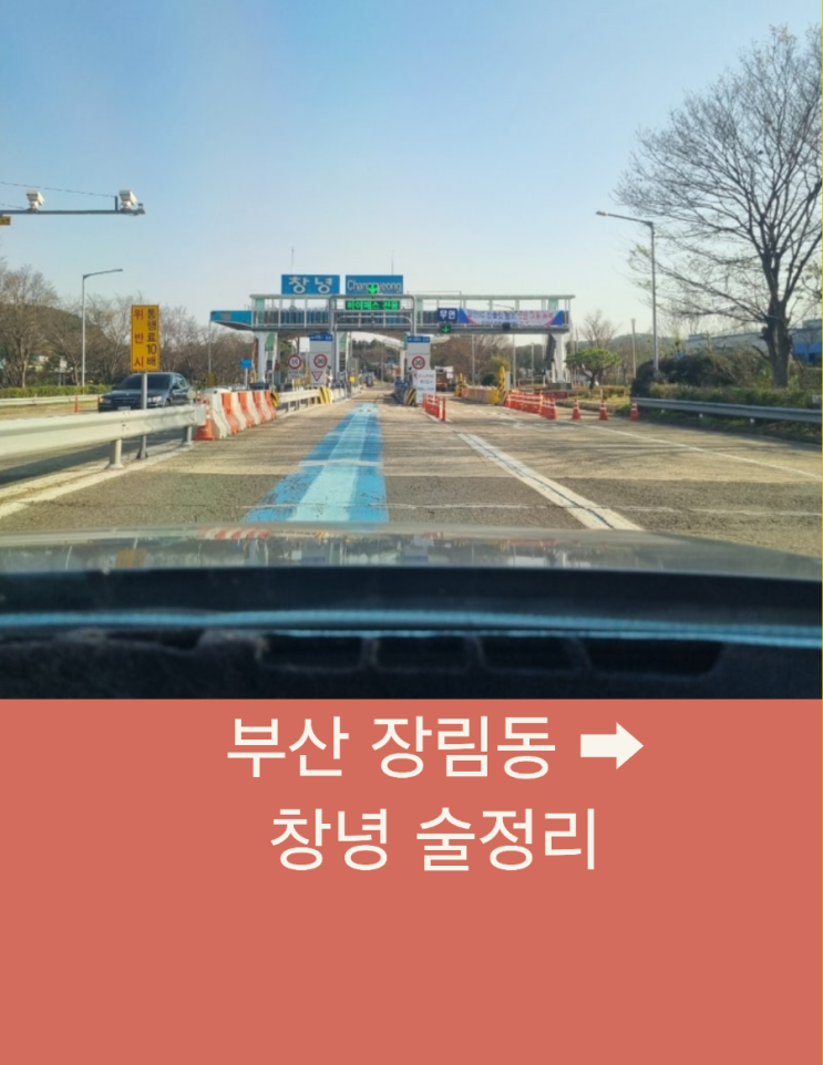  부산 장림동에서 창녕 술정리까지 단골손님 장거리 택시운행