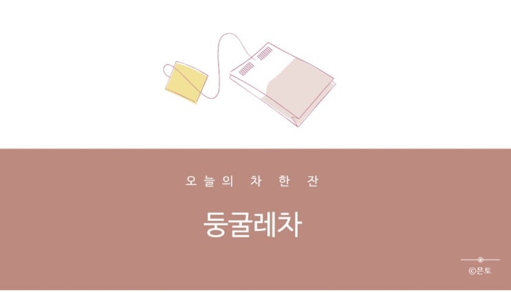  둥굴레차 효능 및 부작용 둥굴레 성분 함량 총정리