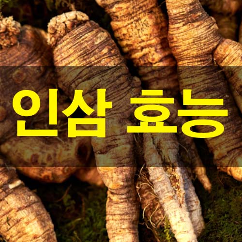 인삼 먹어야 하는 이유와 효능 5가지 및 부작용