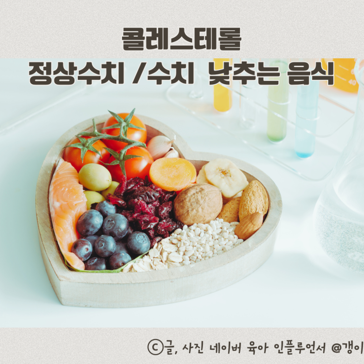  콜레스테롤 낮추는 음식과 정상수치