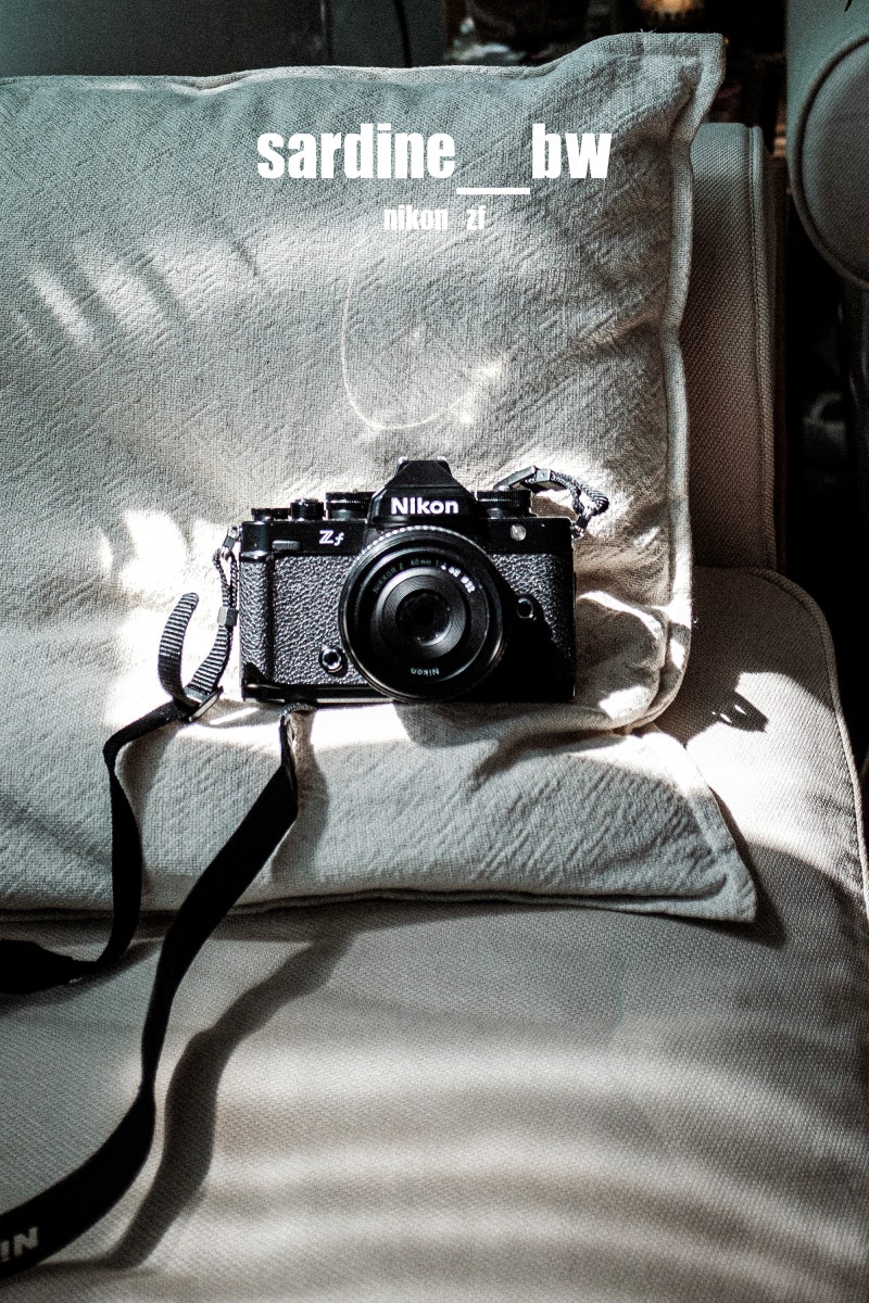 니콘zf + 40mm 구매 후 장단점(10일 사용기) : 네이버 블로그