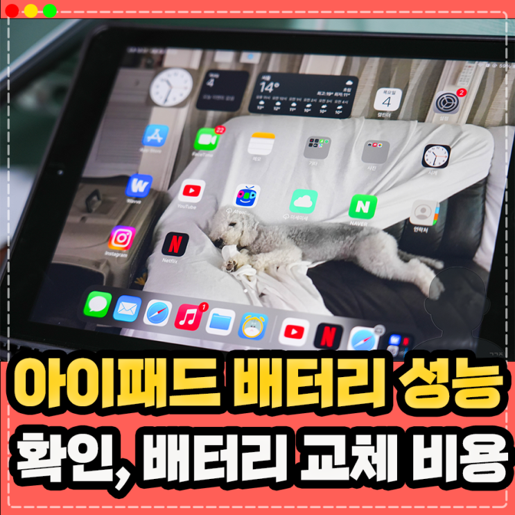  아이패드 배터리 성능 효율 확인, 배터리 교체 비용 얼마?