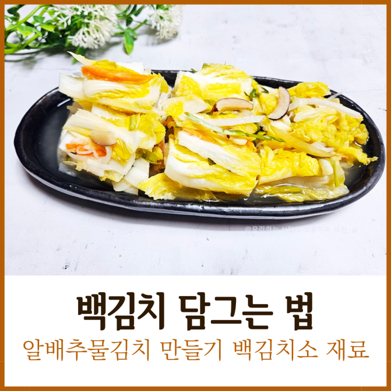 백김치 담그는 방법 알배추 물김치 만들기 백김치소 재료