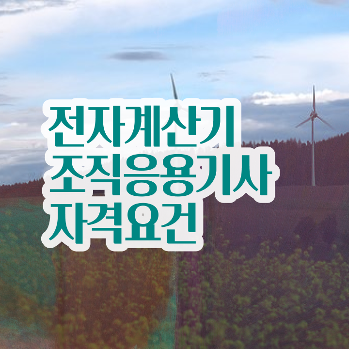  전자계산기조직응용기사 필기 시험 전자계산기조직응용기사 자격증 자격요건 수월하게 갖추자