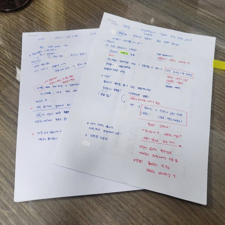   독테소리 첫번째 수업 - 이론 교육 ️/ 진돗개 훈련소 추천