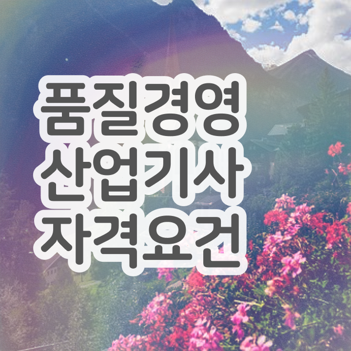  품질경영산업기사 실기 품질경영산업기사 자격증 취득 확인하고 가세요