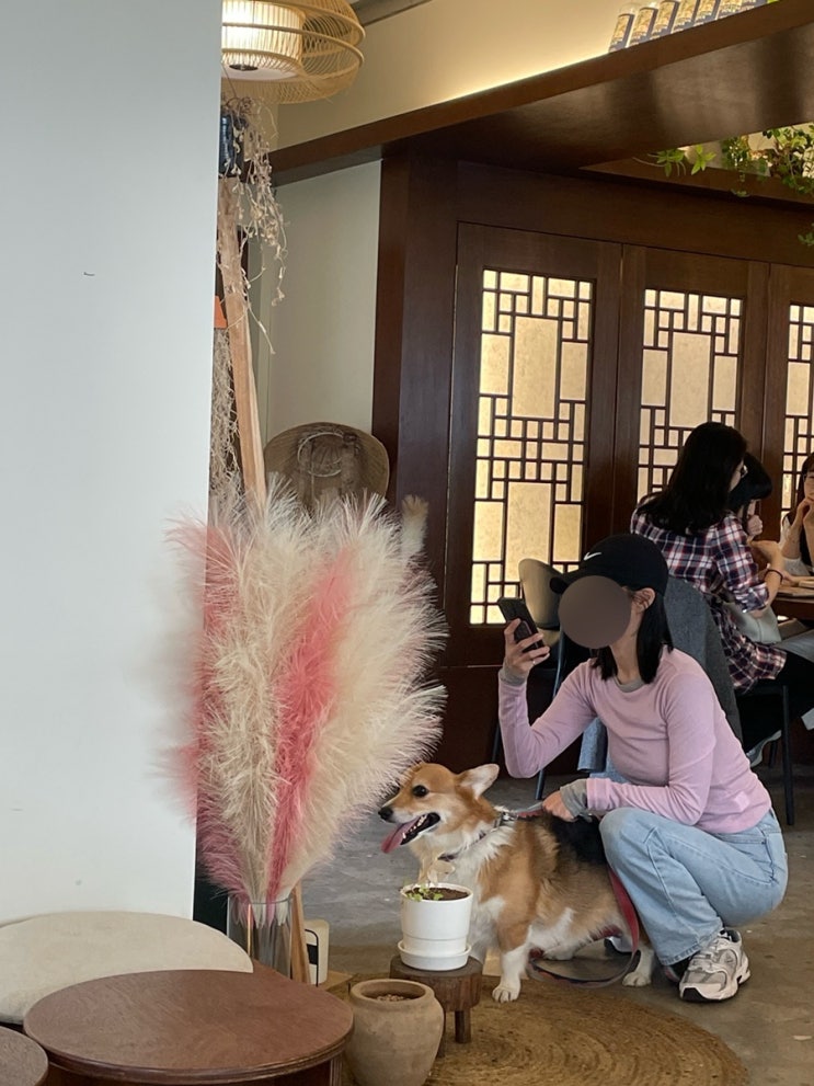  삼전동 애견동반 브런치 카페 송파 사생활