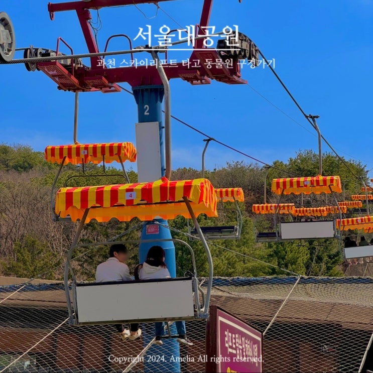  과천 서울대공원 스카이리프트 벚꽃축제 가볼만한 곳 | 할인 운영시간