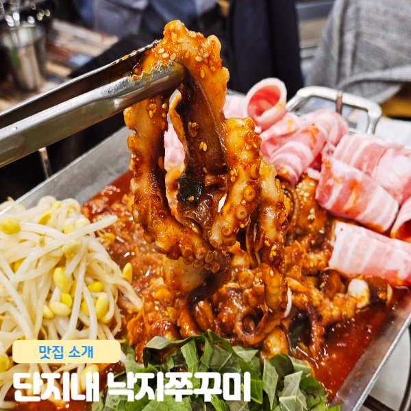  대전 오류동 맛집 단지내 낙지쭈꾸미 서대전역 맛집 인정