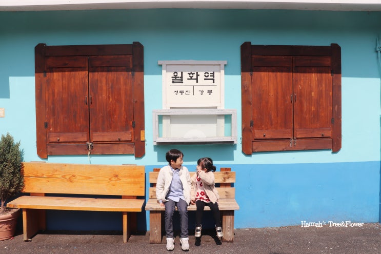  강릉중앙시장 맛집 먹거리 월화거리 주차장