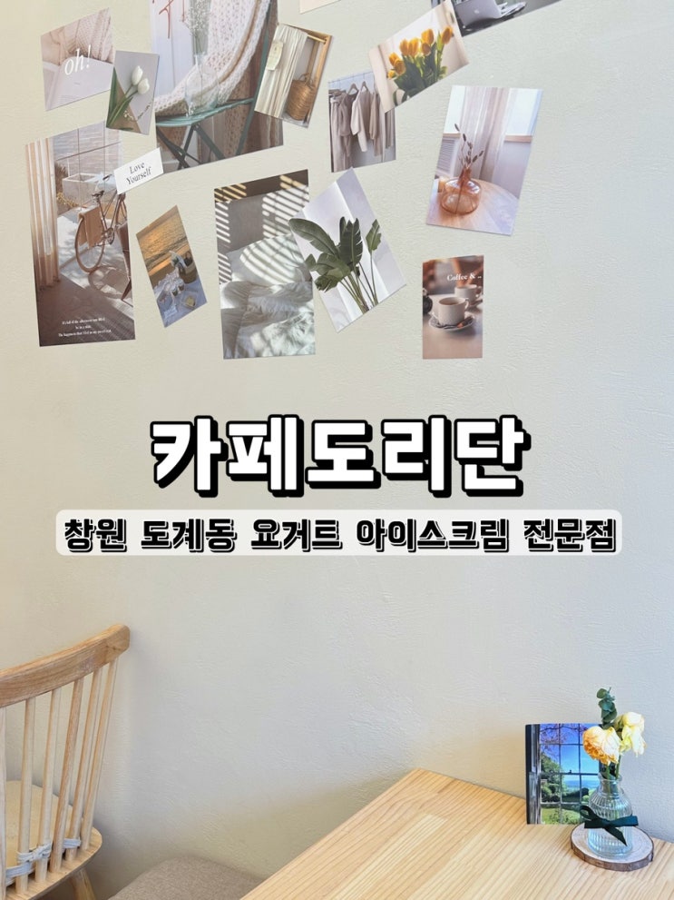  창원 도계동 요거트아이스크림 전문점 카페도리단