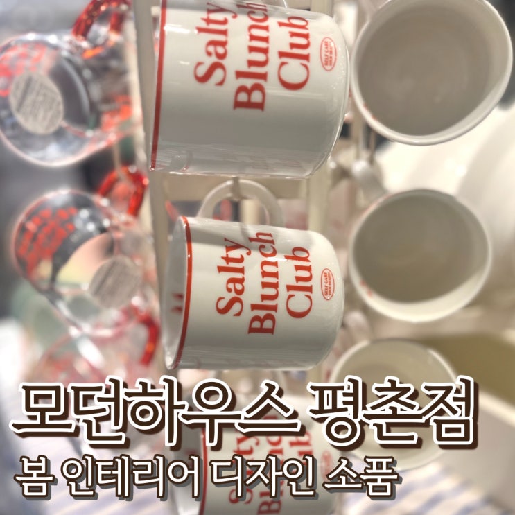  모던하우스 평촌점 봄 인테리어 주방용품 소품샵 캐리어