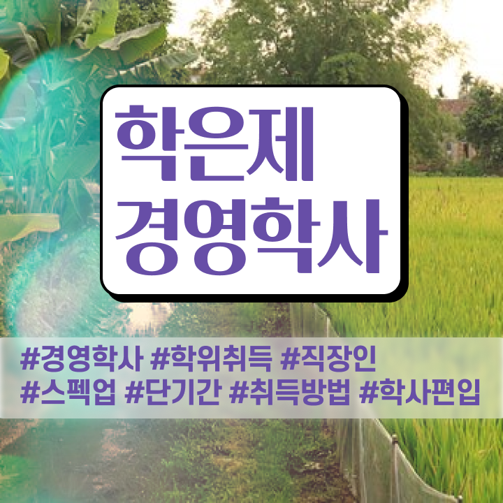  학점은행제 플래너 학습플래너 , 경영학과 단기간에 시험준비 학습방법 살펴보기  경영학 자격증 학점은행제 복수전공 핵심 정보 가득 드려요 ?