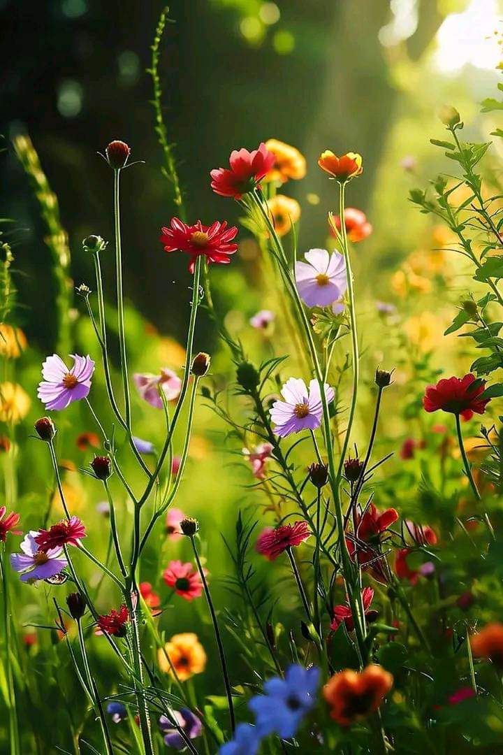   오늘의 생활정보 (2024-04-04, 목)