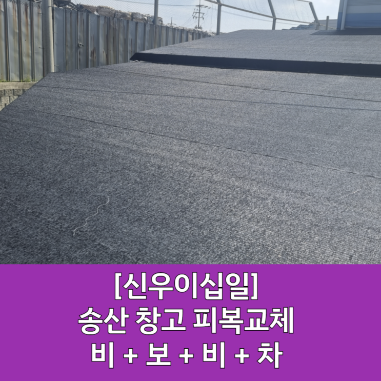  [송산 피복교체] 송산 창고 피복 교체 / 비닐하우스 피복 교체 / 비닐하우스 / 칼라보온덮개 / 4중직 차광망 / 공장 피복 교체 / 비보비차 교체 / 창고 천장 피복교체