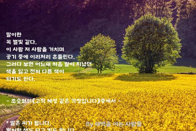 .......별빛 .......별빛