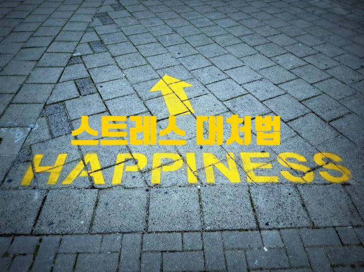  과학이 밝힌 효과적인 스트레스 대처법